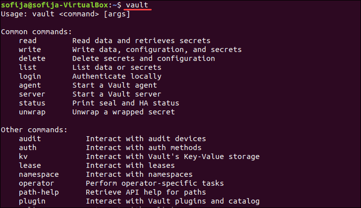 vault available commands and variables