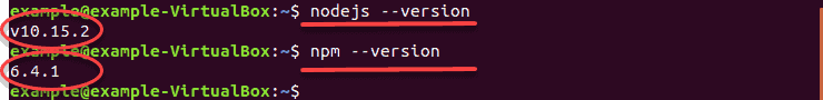 verify nodejs and npm version
