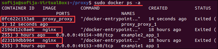 Verify you have two web services and a reverse proxy container.