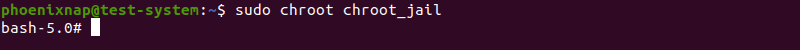 Successfully chrooting into the new root directory