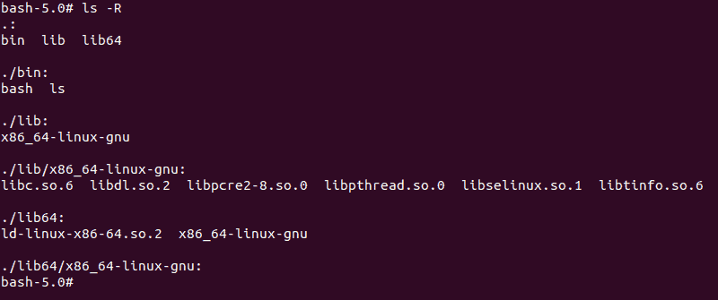 Listing the files and folders in the new root directory