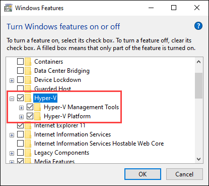 Check the Hyper-V option