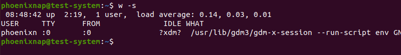 Displaying the short format version of the w command output