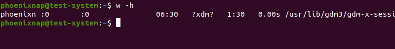 Displaying the wo command output without the header