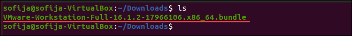 Determine filename downloads VMware Ubuntu.