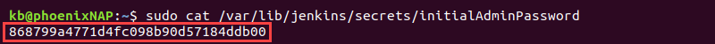 initial admin password jenkins terminal