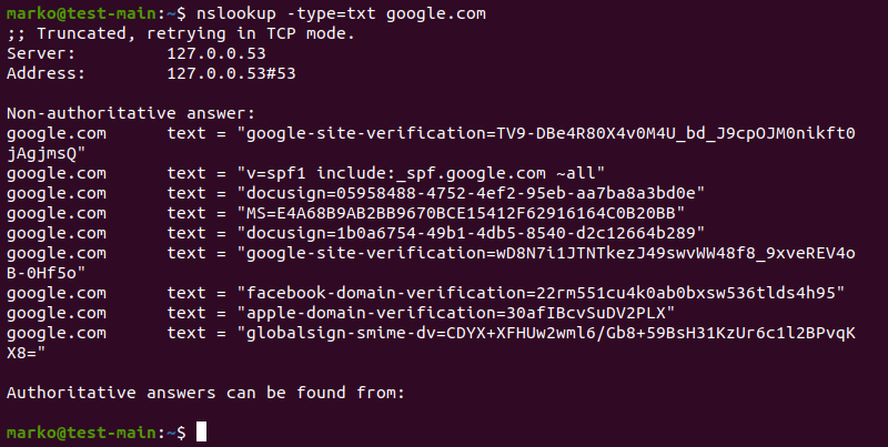 Viewing the domains TXT records.