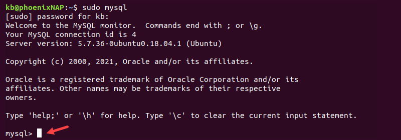 sudo mysql terminal output