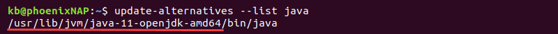 update-alternatives --list java terminal output