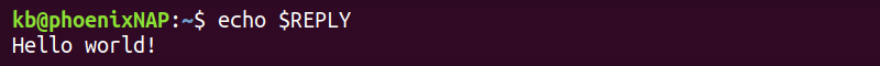 echo reply variable terminal