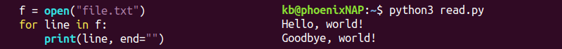 python read file for loop