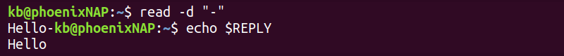 read -d terminal output