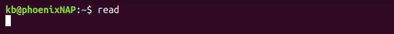 read terminal output