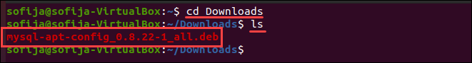 Navigate to Downloads folder and check contents.