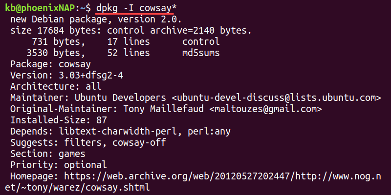 dpkg -I terminal output