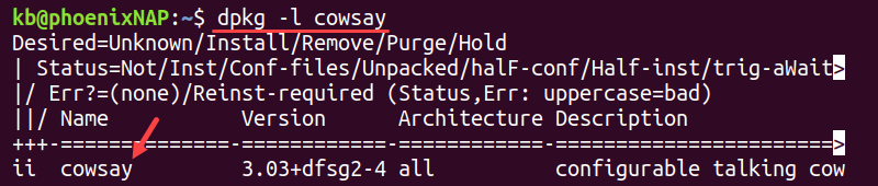 dpkg -l specific package terminal output