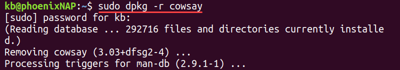dpkg -r terminal output
