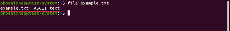 Using the file command to determine the file type