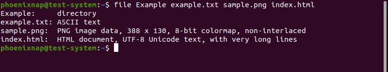 Test multiple files using the file command