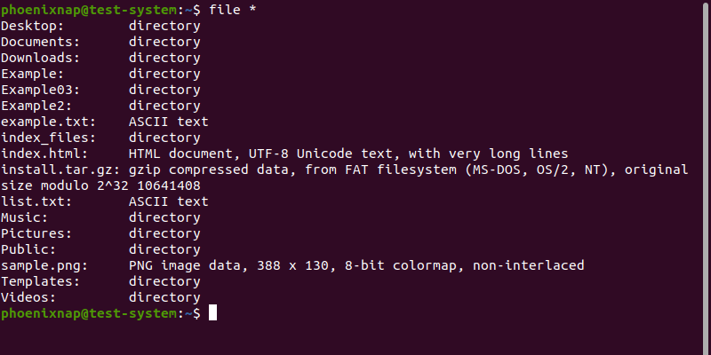 Test all files in a directory using a wildcard character