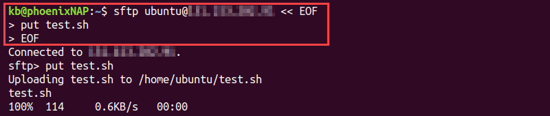 sftp heredoc put