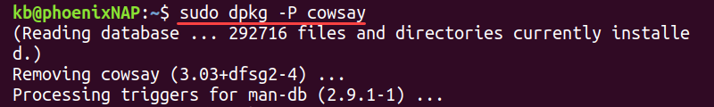 sudo dpkg -P terminal output