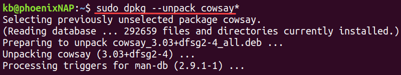 sudo dpkg --unpack terminal output