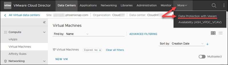Cloud Director select Data Protection with Veeam button.