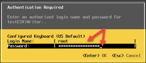 Authenticating in ESXi via Remote Console.