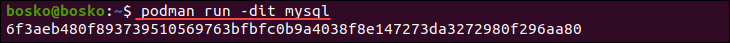 Creating a container from a downloaded image.