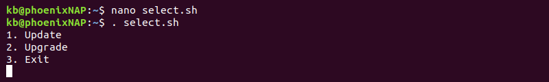exec script running terminal output