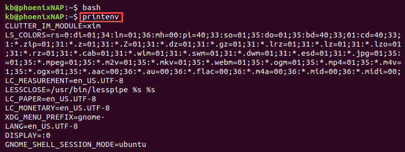 printenv bash shell terminal output