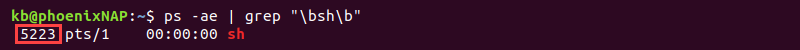 ps -ae grep sh terminal output