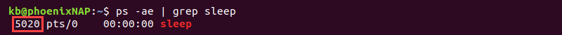 ps -ae grep sleep terminal output