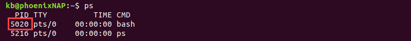 ps bash pid terminal output
