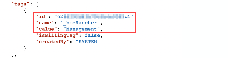 An example of a Rancher management cluster server tag.