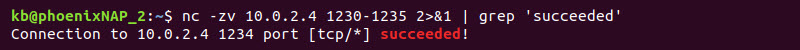 nc scan open port grep succeeded terminal output