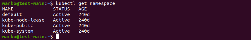 Checking if the namespace was successfully deleted.