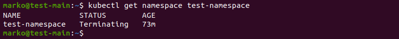 Using the kubectl get namespace command to check the status of a namespace.