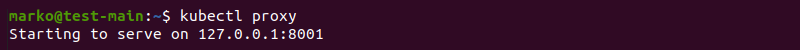 Using the kubectl proxy command to access Kubernetes API.
