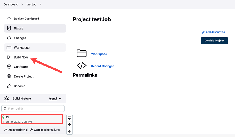 Starting the build in Jenkins.