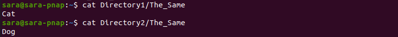 cat command different directories