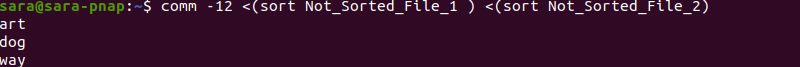 comm -12 sort Terminal Output