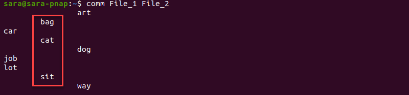 The comm Command Terminal Output Column 2