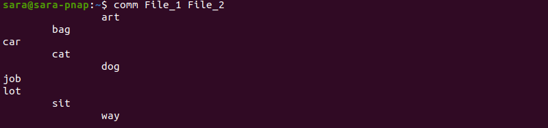 The comm Command Terminal Output