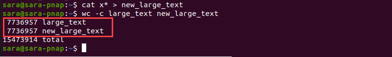cat command terminal output