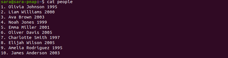 cat command terminal output