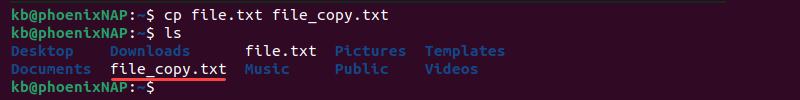 cp file.txt file_copy.txt terminal output