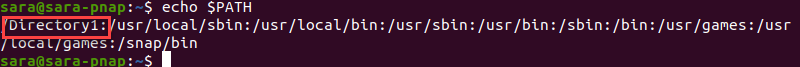 echo PATH Directory1 added terminal output