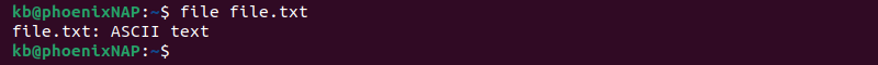 file file.txt terminal output
